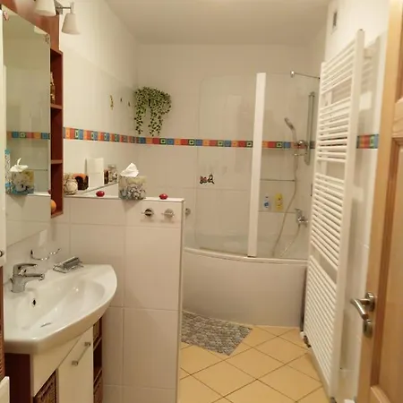 Vlasta Apartman *